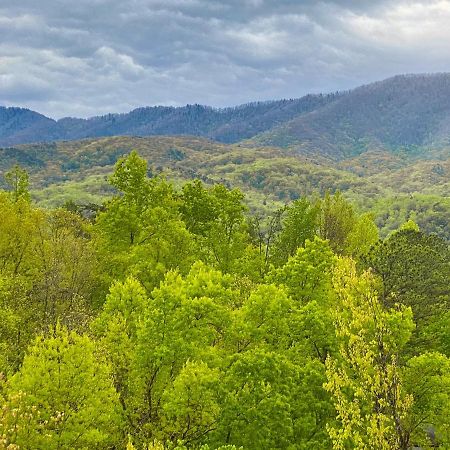 Amazing Views Villa Gatlinburg Rom bilde