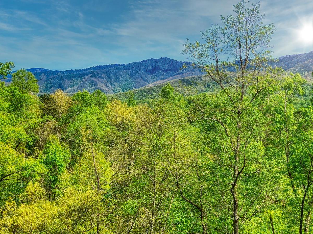 Amazing Views Villa Gatlinburg Eksteriør bilde